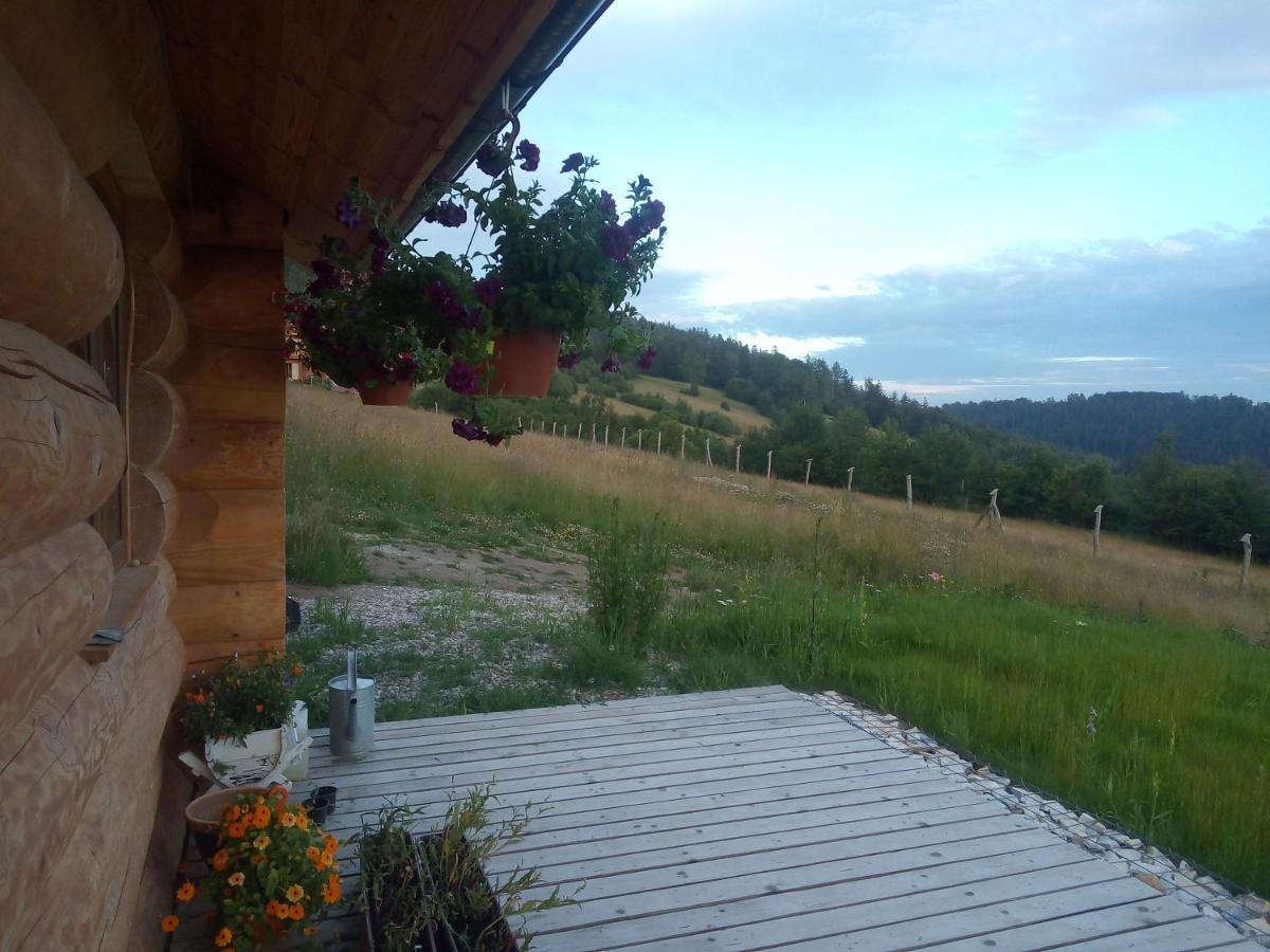 Domek W Gorach Sowich Jugow Bagian luar foto