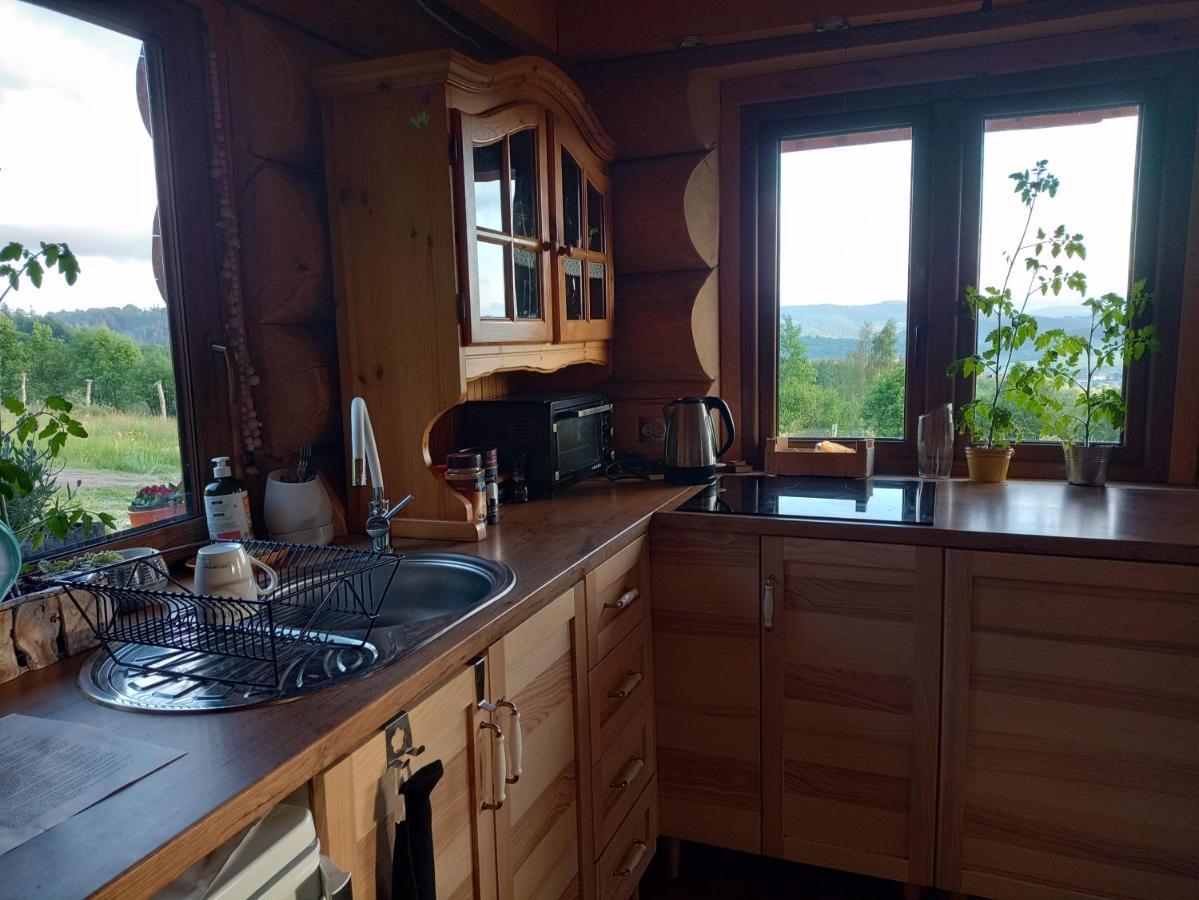 Domek W Gorach Sowich Jugow Bagian luar foto